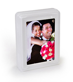 Plastic hinged case